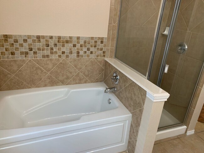Master Bathroom Tub & Shower - 4008 Drexmore Road