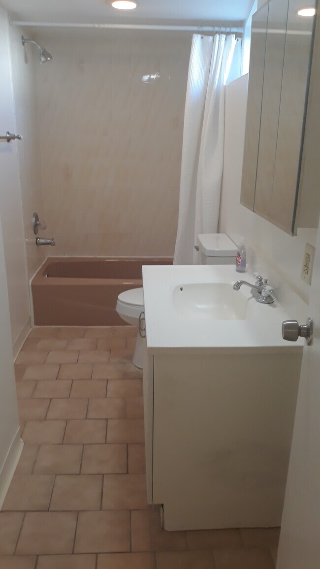 Full bath and shower - 115 Chelsea Ave