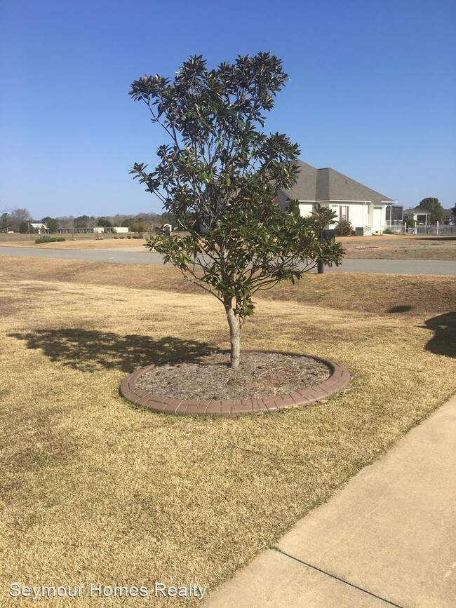 Building Photo - 3 br, 2 bath House - 102 Crooked Creek Court