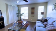 This single-story living space presents a welcoming and functional layout centered around a bright, open living area. The room features rich hardwood-style flooring that extends throughout, providing a warm and cohesive foundation. Two generously sized windows dressed with white horizontal blinds allow abundant natural light to fill the space, creating an airy and inviting atmosphere. A ceiling fan with a light fixture is mounted overhead, adding both practical ventilation and subtle visual interest against the textured ceiling. The neutral-toned walls serve as a versatile backdrop, accented by a decorative wall piece featuring layered earth tones. The living area comfortably accommodates a plush sofa paired with patterned throw pillows, centered around a glass-top coffee table resting on a area rug in warm hues. A tall indoor palm plant positioned near one of the windows introduces a natural, organic element to the space. The overall ambiance is casual yet polished, with a neutral color palette enhanced by warm wood tones, making it a comfortable and adaptable living environment.