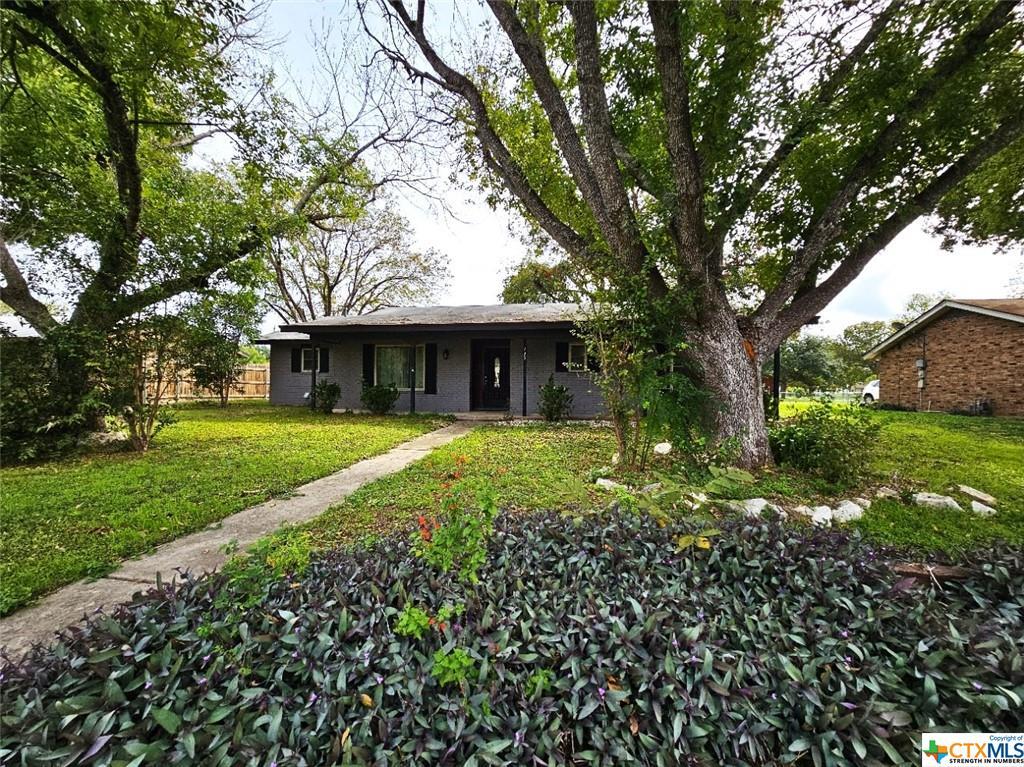 Primary Photo - 795 Paige St