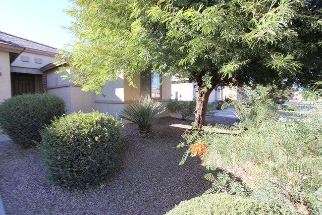 Building Photo - Beautiful home resting in the East Valley