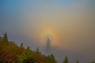 Building Photo - 3908 Old Jonesboro Rd