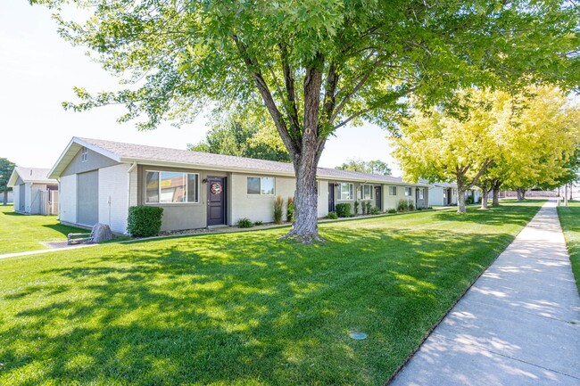 Building Photo - Cadence Apartment Homes