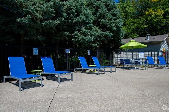 Terraza solárium - Creek Bay