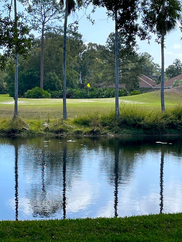 Foto principal - 13700 Richmond Park Dr N