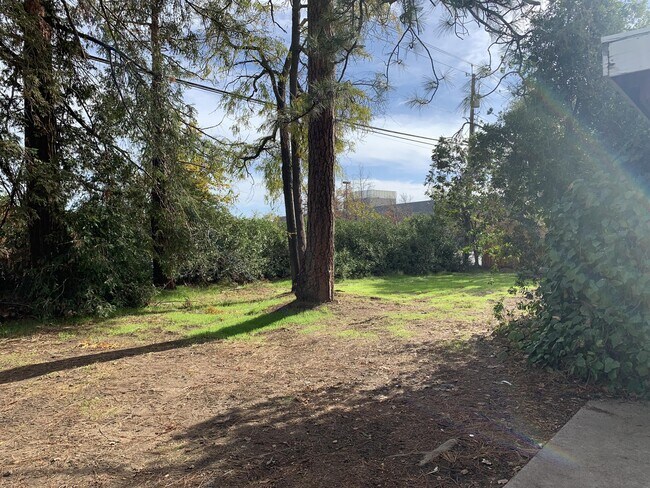 Foto del edificio - 4849 College Oak Dr