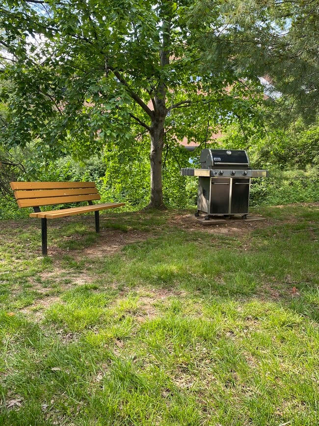 BBQ Area - 572 Coeur de Royale Dr