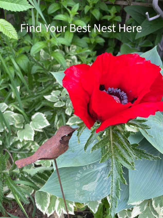 Primary Photo - 1427 N Hawley Rd