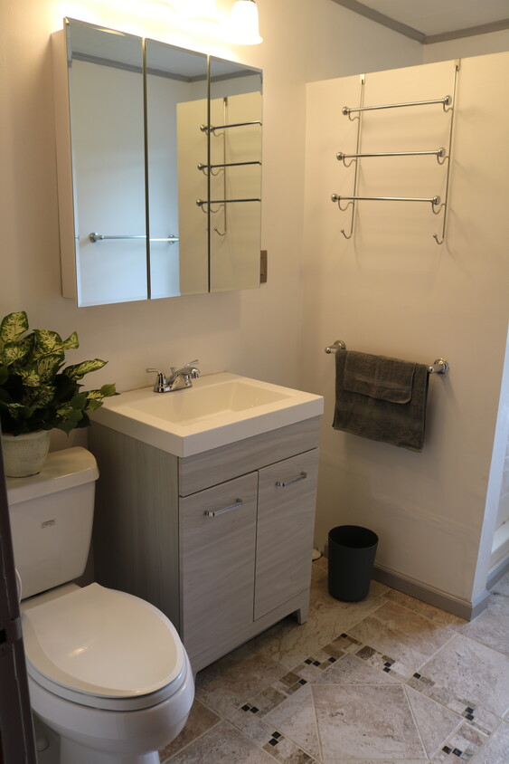 Bathroom - 239 Elm St