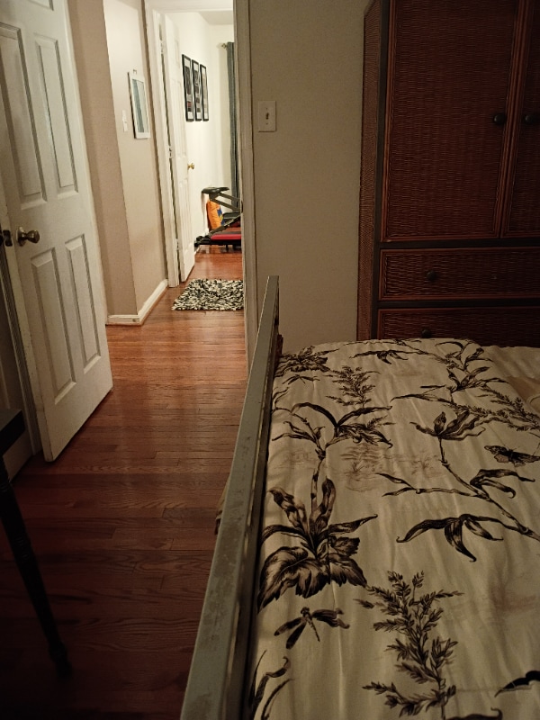 Building Photo - 10959 Stella Ct