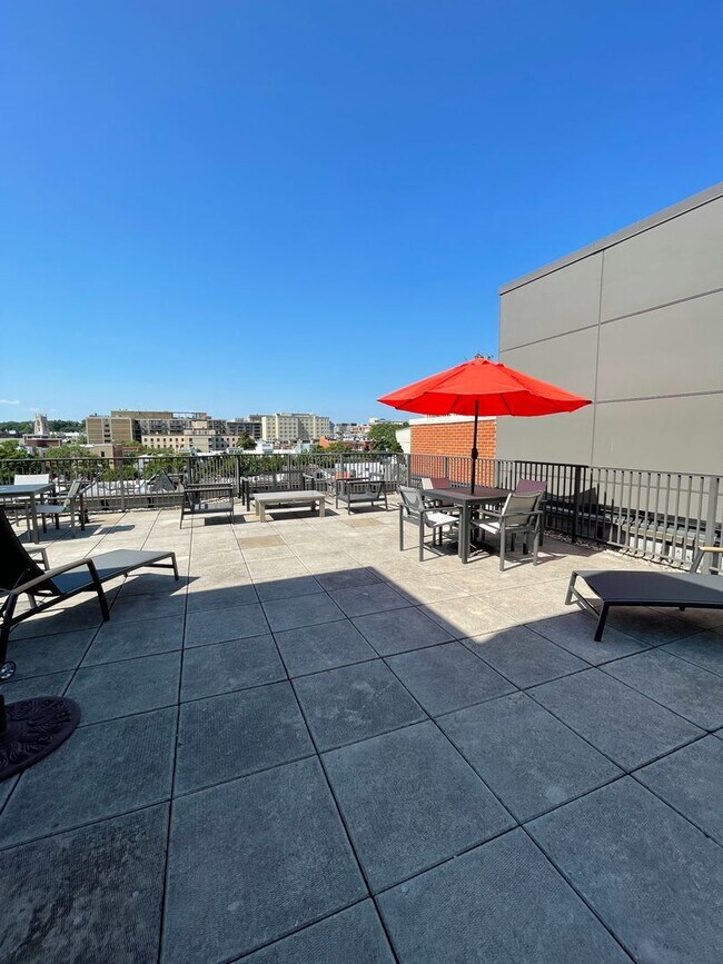 Foto del edificio - Lovely Studio Apartment in Downtown!