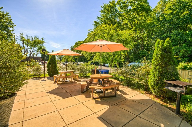 Picnic Area - West Wood Oaks Apartments