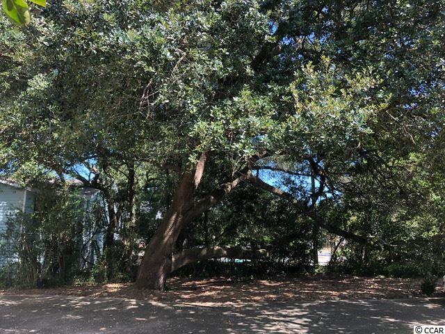 Foto del edificio - 295 Bobcat Dr