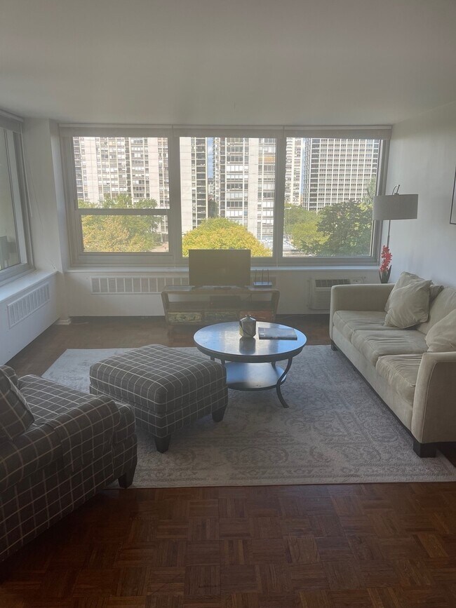 Foto del edificio - 1255 N Sandburg Terrace