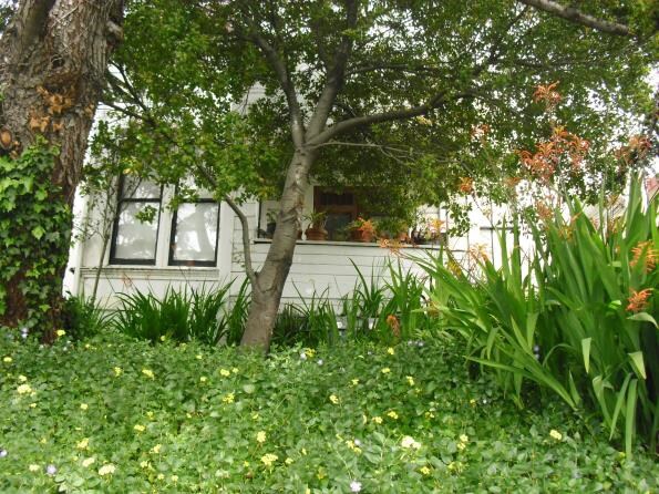 Patio - 1374 E 32nd St