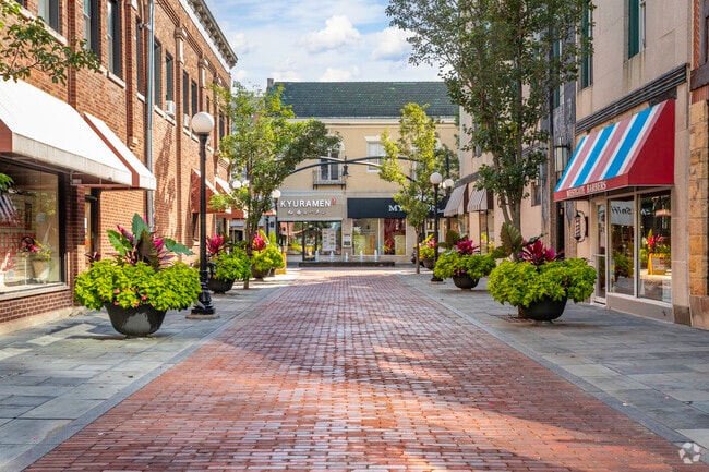 Downtown Oak Park has many retail shops and dining options to visit.