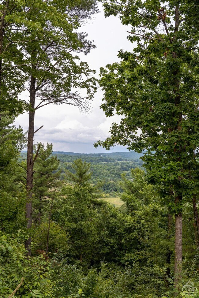 64 Owl Hill Rd, Ghent, NY 12075 House Rental in Ghent, NY