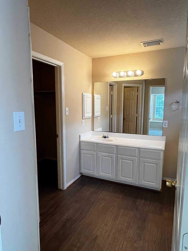 Spacious master bath with walk in closet - 19410 Maywood Falls Cir