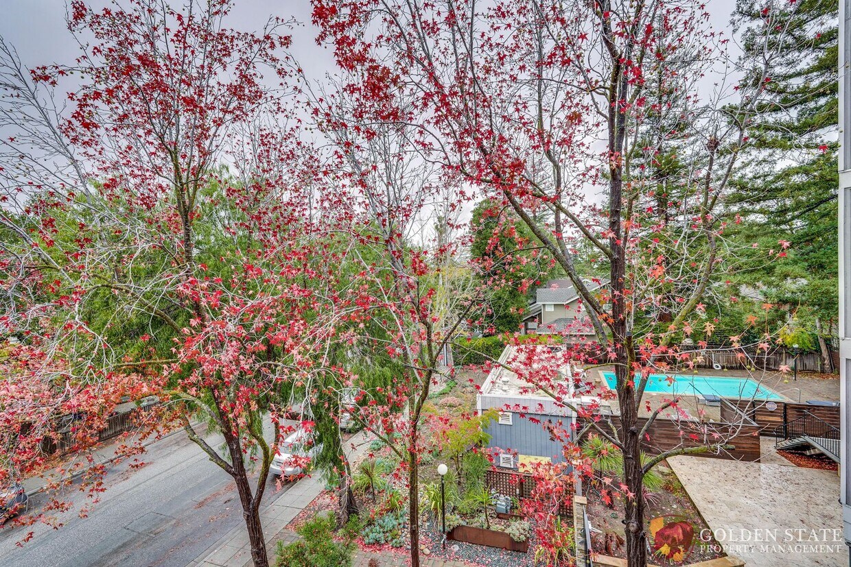 Beautiful Top Floor Condo in Prime Mountain View Location - Beautiful Top Floor Condo in Prime Mountain View Location