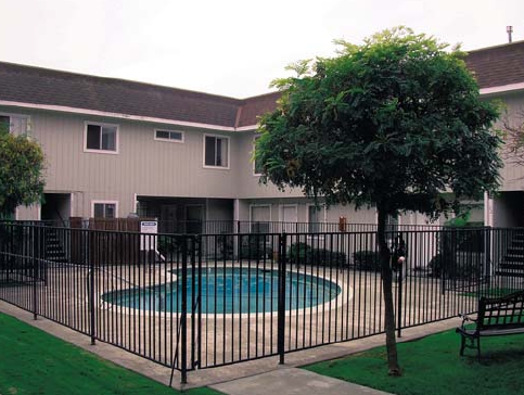 Primary Photo - Tehama Palms Apartment