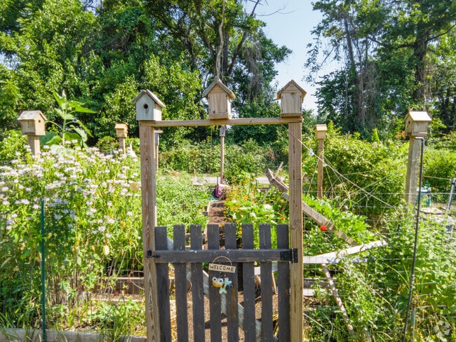 Residents enjoy access to the community garden located in Lewinsville Park in McLean.