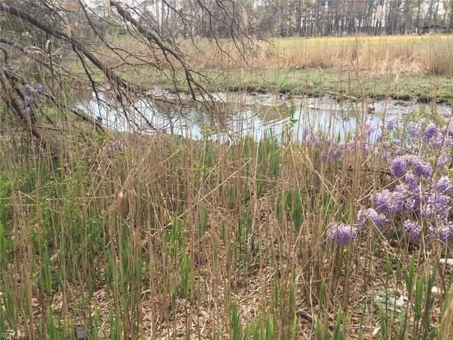 Esta es la vista al otro lado del arroyo, hacia el campo de béisbol en el parque que se encuentra detrás de la propiedad. - 301 Pepper Mill Ct