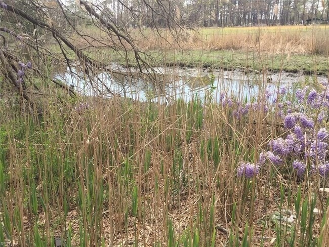 This is looking across the creek to the baseball field at the park behind the property. - 301 Pepper Mill Ct