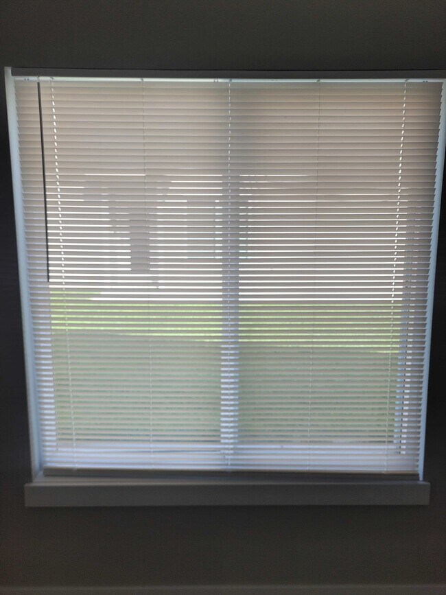 Foto del edificio - 3913 S Bluelake Ct