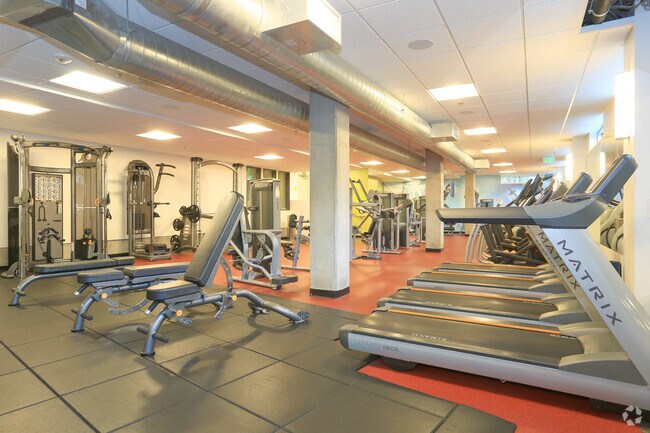 Gimnasio - Rincon Green