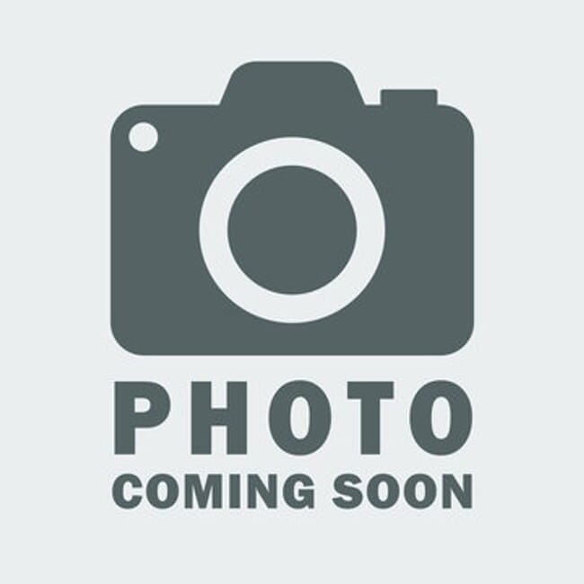 MORE PICTURES COMING SOON! Spacious 3 Bedr... - MORE PICTURES COMING SOON! Spacious 3 Bedr... House