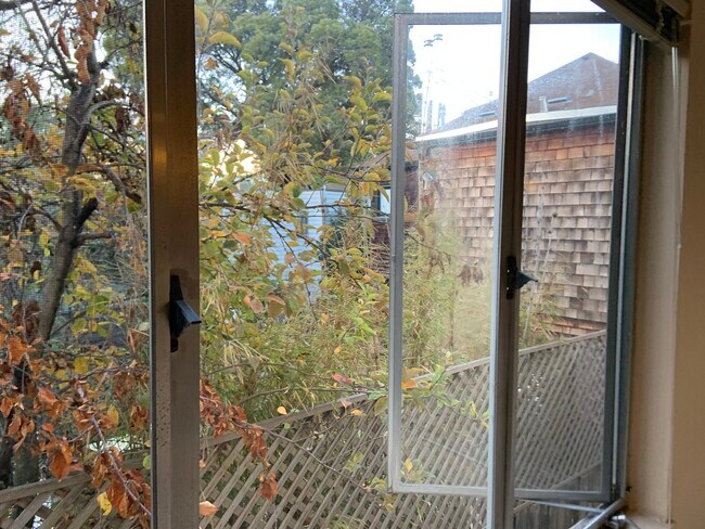 Window - 2923 Florence St