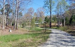 Foto principal - Yellow Pines Dr