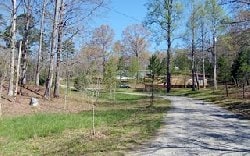 Primary Photo - Yellow Pines Dr