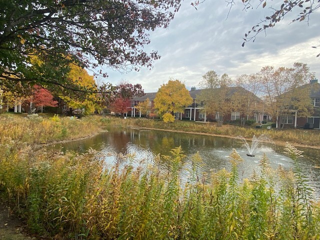 Fall Color around the pond in the complex - 972 Enfield Dr