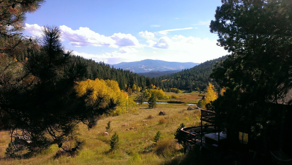 120 Wisp Creek Dr, Bailey, CO 80421 House Rental in Bailey, CO