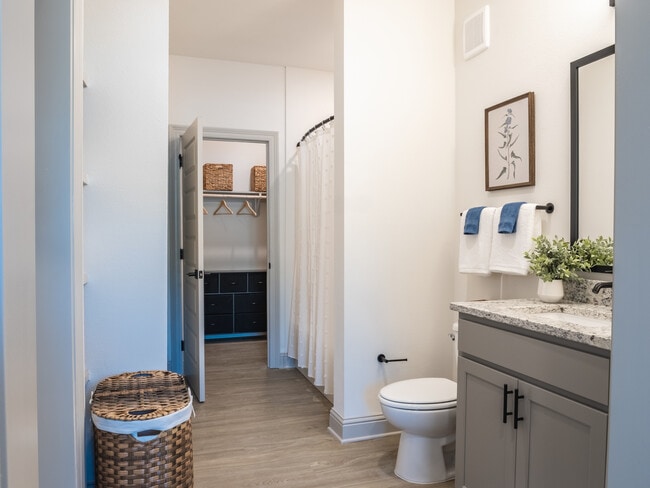 The Daysailer I: 1BR, 1BA- Bathroom - The Waters at Freeport