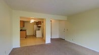This single-floor space features an open-concept layout that connects the living area to the kitchen through a wide arched passageway. The living area is finished with wall-to-wall carpet in a neutral tone, creating a comfortable and understated atmosphere. A plain white door provides entry access, and the walls are painted in a soft, light green hue throughout, lending the space a clean and airy feel.

The kitchen is visibly distinct with light tile flooring that contrasts the carpeted living space. It is equipped with warm honey-toned wooden cabinetry, a white refrigerator, a white range with oven, and a ceiling fan with a light fixture overhead. A sink with a dark countertop is visible along the left wall, and there appears to be additional cabinetry providing adequate storage. A utility closet or additional storage space is accessible from within the kitchen area.

The overall layout is functional and straightforward, with the open passageway between rooms enhancing the sense of space. The neutral color palette and simple finishes make the space easy to personalize. Natural light appears to filter through, keeping the interior feeling bright and welcoming.