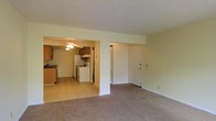 This single-floor space features an open-concept layout that connects the living area to the kitchen through a wide arched passageway. The living area is finished with wall-to-wall carpet in a neutral tone, creating a comfortable and understated atmosphere. A plain white door provides entry access, and the walls are painted in a soft, light green hue throughout, lending the space a clean and airy feel.

The kitchen is visibly distinct with light tile flooring that contrasts the carpeted living space. It is equipped with warm honey-toned wooden cabinetry, a white refrigerator, a white range with oven, and a ceiling fan with a light fixture overhead. A sink with a dark countertop is visible along the left wall, and there appears to be additional cabinetry providing adequate storage. A utility closet or additional storage space is accessible from within the kitchen area.

The overall layout is functional and straightforward, with the open passageway between rooms enhancing the sense of space. The neutral color palette and simple finishes make the space easy to personalize. Natural light appears to filter through, keeping the interior feeling bright and welcoming.