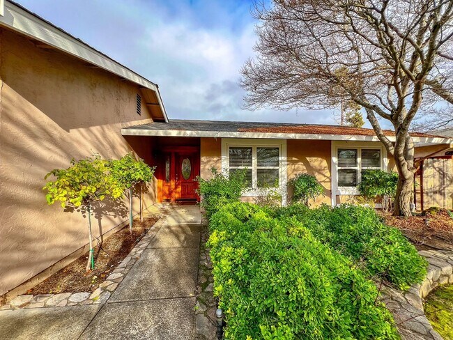 Foto del edificio - Charming North Napa Home