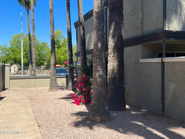Building Photo - 2211 S McClintock Dr