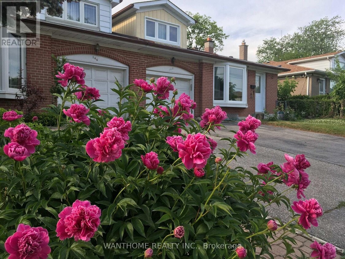 Photo principale - 148 Old Sheppard Ave