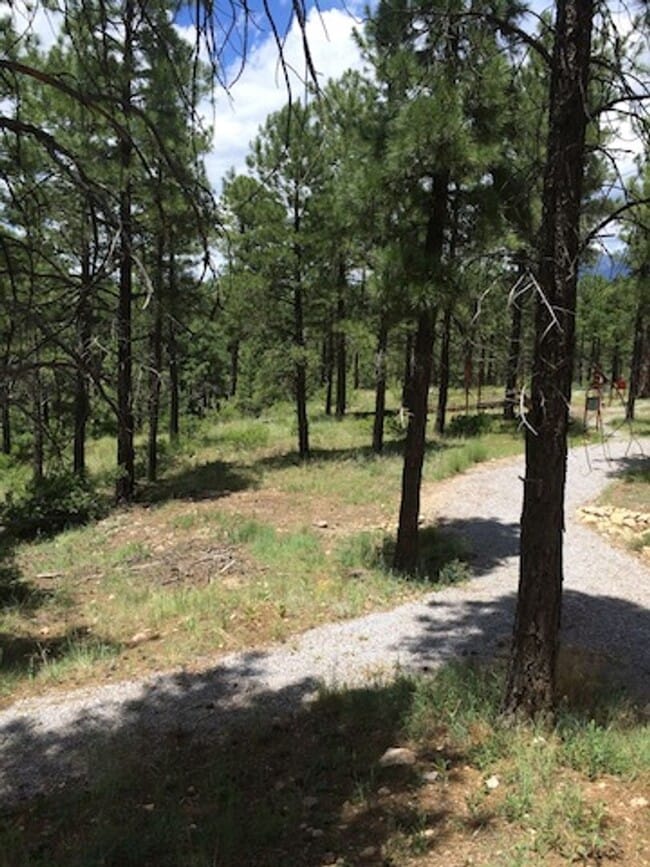 Building Photo - Sweet free standing home in Rio Home abutting forest and trail access