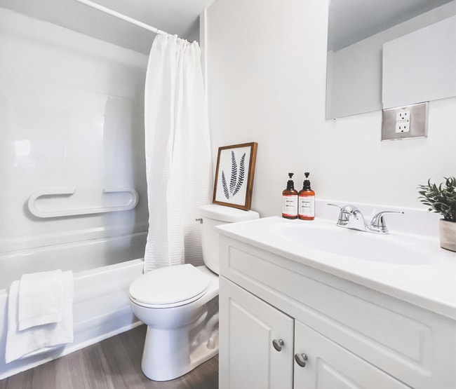 Building Photo - Torbay Road Apartments