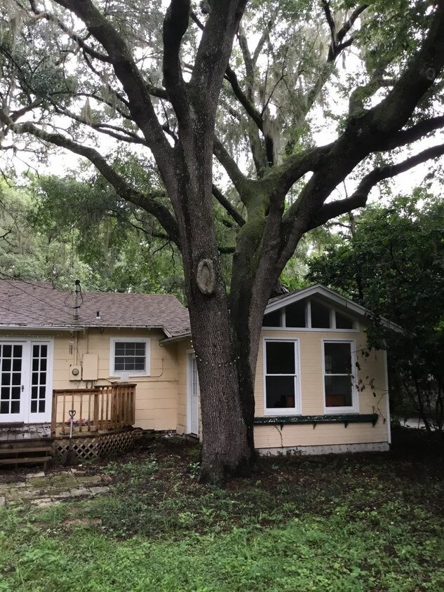 1725 NW 6th Ave, Gainesville, FL 32603