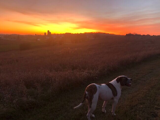 Building Photo - 5877 Whippoorwill Rd