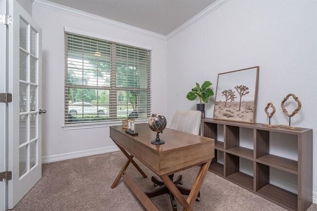 Building Photo - 1217 Naranjo Dr