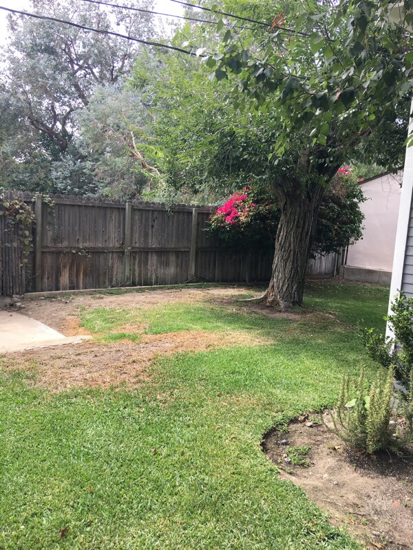 Building Photo - 275 Norumbega Dr