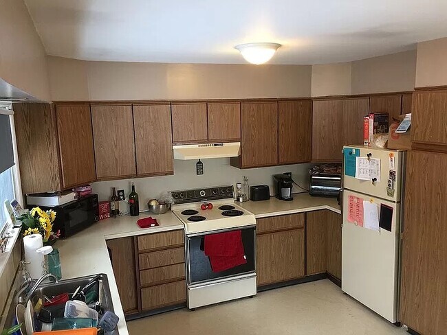 Cabinets galore in kitchen - 2 Ludlow Ave