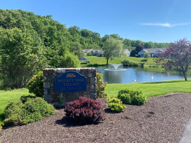 Building Photo - 21 St George Pl